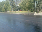 В Волгограде из-за жары пешеходы прилипают к новому асфальту