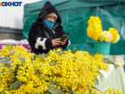 Почти половина волгоградцев считают ненужным дарить цветы женщинам на 8 Марта 