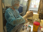 В Волгоградской области число лабораторий для тестирования на коронавирус увеличится до 15