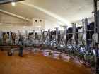 В Волгоградской области на 14,4% увеличилось производство молока