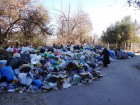В Волгограде проблема с вывозом мусора «сдвинулась с места»
