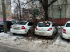 Рухнувшее дерево искалечило две иномарки в Ворошиловском районе Волгограда