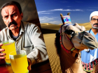 Эликсир из мочи египетских верблюдов скупают в Волгограде