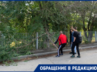 Школьников отправили убирать рухнувшее дерево в Волгограде