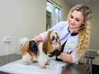 Открылся Ветеринарный центр с современным оборудованием и широким спектром услуг