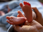 Родить ребенка в 2020 готовы 9% семейных волгоградцев