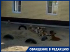 Город под Волгоградом держит в страхе свора бездомных собак: видео