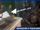 «Все ржавое, просто хлам»: сидящие неделю без воды волгоградцы показали обслуживающую дом теплостанцию 