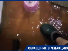 «Чистый четверг»: в Волгограде из сгнившего стояка затопило три квартиры — видео 