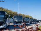 Партия автобусов за миллиард рублей прибыла в Волгоград 