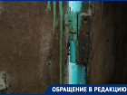 «Старые дохнут, новые появляются»: распоясавшиеся тараканы стали кошмаром волгоградской многоэтажки 