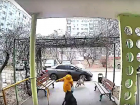 Собаки напали на 9-летнего у подъезда в Волгограде — видео