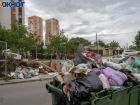Мусорный коллапс в Волгограде спровоцировал нашествие крыс и мышей