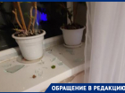 «За попытку и угрозу убийством сосед так и не понес наказания», - волгоградка продолжает опасаться за свою жизнь