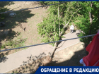 Деревопад после шторма заблокировал дороги в Волгограде