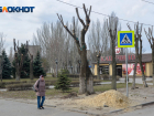 Новая неделя в Волгоградской области начнется с заморозков до -7