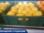 «Люди, вы сошли с ума!»: волгоградку взбесили лимоны по 100 рублей за штуку