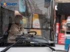 Бесплатный проезд пообещали 31 декабря в Волжском