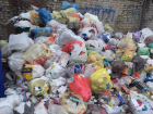 Депутат Госдумы потребовал введения в Волгоградской области режима чрезвычайной ситуации из-за мусорного коллапса