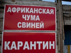 В Волгоградской области под карантин взяли целый хутор