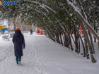 Аномальное тепло сменят крепкие морозы в Волгограде 