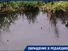Фекальное болото со смрадом появилось в популярном месте Волгограда
