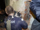 В Волгограде спасатели вынули погибающего котенка из вентиляционной шахты