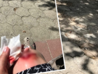 В центре Волгограда женщина получила 4 шва после падения на разбитом тротуаре