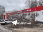Рухнувшее дерево целый месяц не могут убрать с дороги в Волгограде