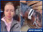 Прокрался со шприцем: неизвестный устроил мучительную расправу над лошадьми в конюшне под Волгоградом