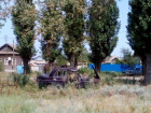 Под Волгоградом водитель «шестерки» протаранил дерево и погиб