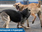 Пенсионерка серьезно пострадала после атаки собак на севере Волгограда 