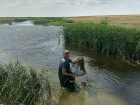 В дельте Волги нашли новый вид рыбы