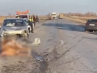 Трасса — в кровавое месиво: Audi протаранил стадо коров под Волгоградом