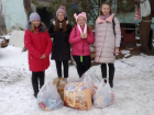 Пятиклассники из волжской школы №9 устроили марафон и собрали около 60 кг корма для приюта