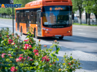 Популярный автобусный маршрут отменят к концу года в Волгограде