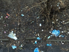 Волгоградец: "В моем дворе мусор не убирают месяцами"