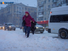 В Волгограде отменили маршрутку №36
