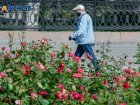 10 сентября в Волгограде будет тепло и пасмурно 