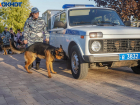 Аноним всколыхнул кинологов и полицию сообщением о заминированном доме в Волгограде 