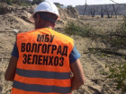 В центре Волгограда вырубили деревья под автопарковку нового музея