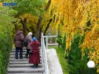 Арктическое вторжение надвигается на Россию: чего ждать волгоградцам