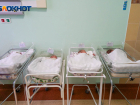 В Волгоградской области зафиксирована худшая рождаемость на юге России