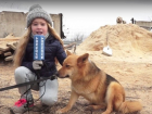 Под Волгоградом 100 собак в приюте «Дино» могут умереть от холода и голода 