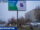 В центре Волгограда безнаказанно вырубили берёзы ради рекламы «Сбера»