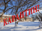 Во всех школах Волгограда введен карантин по гриппу