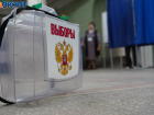Дело облившей зеленкой во время президентских выборов урну волгоградки передано в суд