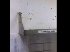Видео тараканов и грязи в одной из волгоградских пекарен появилось в интернете
