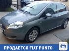 Разыскивается новый хозяин для Fiat Punto