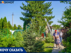 «Пусть ее хоть гинеколог смотрит!»: соседи по волгоградским Мальдивам судятся из-за полувековой сосны